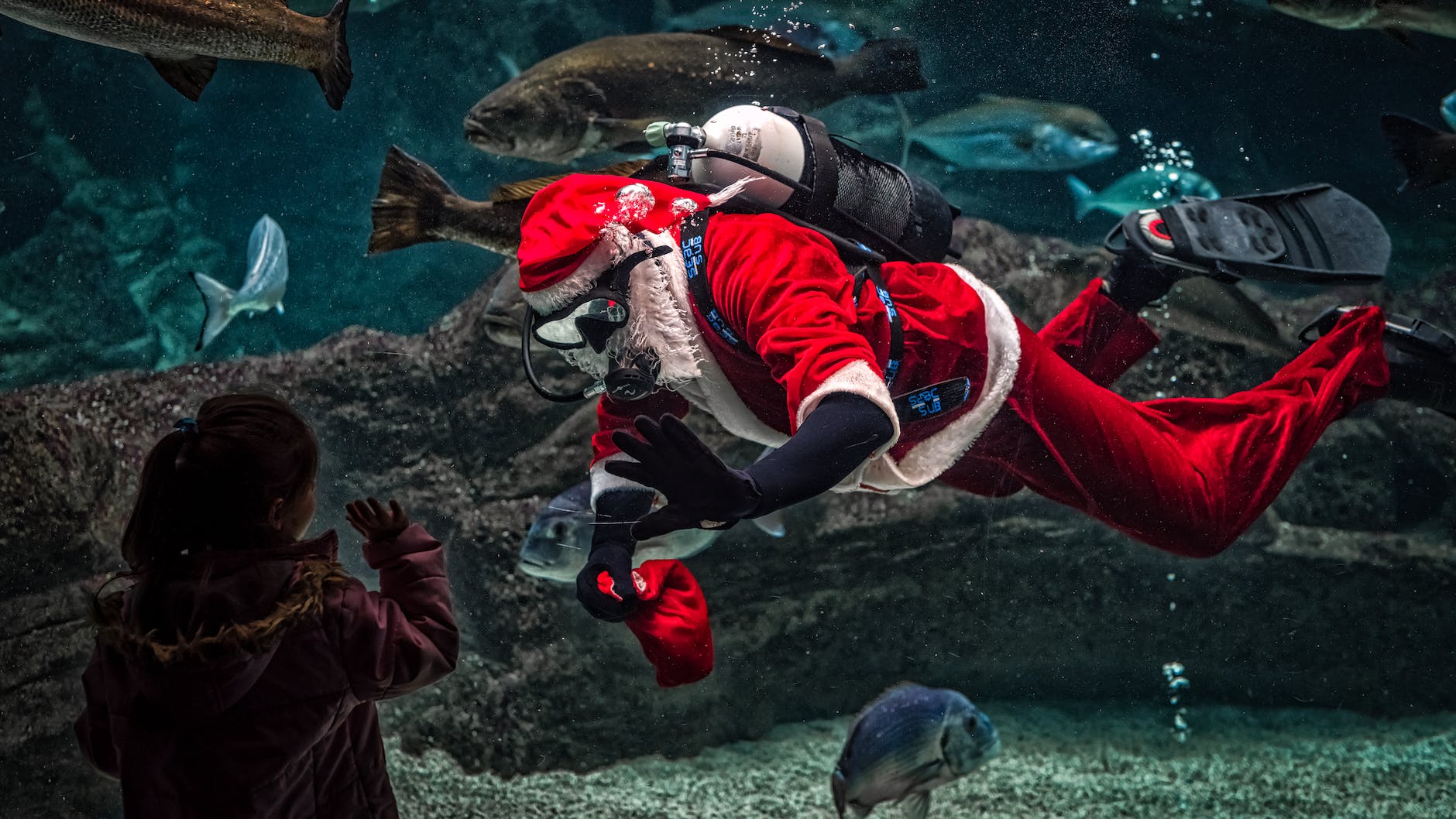 man in santa claus costume with diving gear inside aquarium
